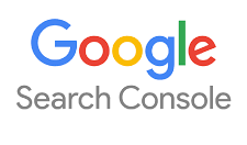 Google Search